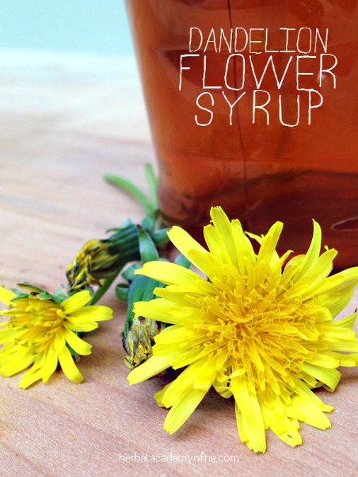 Sweeten Your Breakfast With Dandelion Flower Syrup
