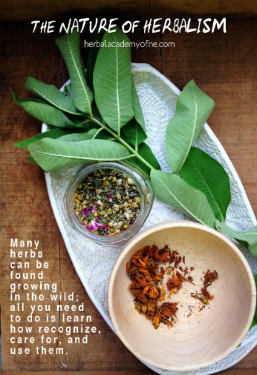 The Nature of Herbalism