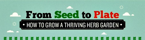 How To Start An Indoor Herb Garden