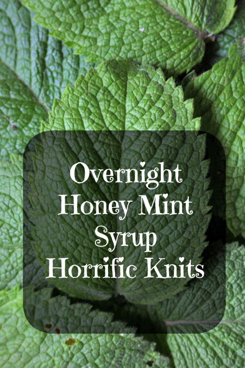 How to Make Overnight Honey Mint Syrup
