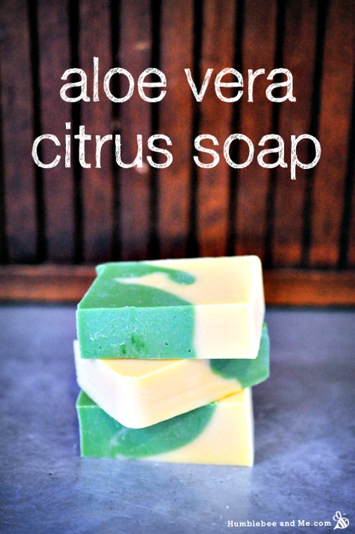 How to Make Aloe Vera Citrus Soap