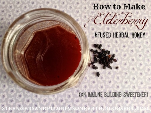 How to Make Elderberry Infused Hone ~ an Immune Boosting Sweetener