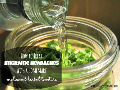 How to Treat Migraines with an Herbal Tincture at Home ~ A Recipe