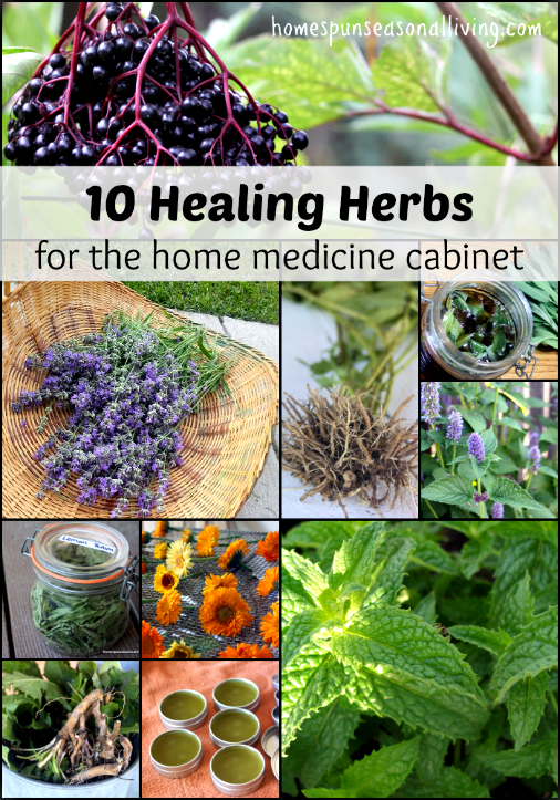 10 Healing Herbs with Recipes