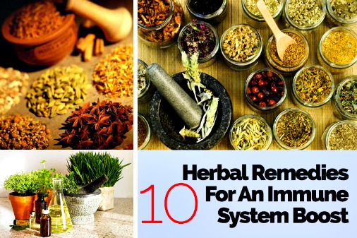 10 Herbal Remedies for an Immune System Boost
