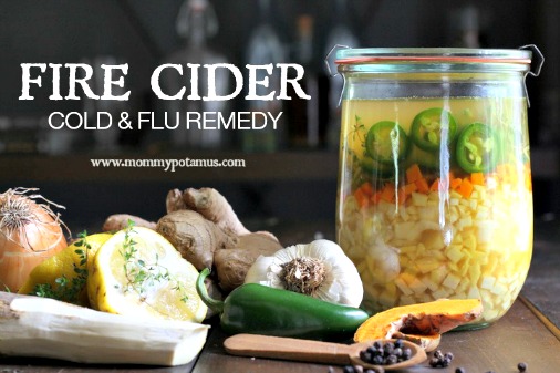 Homemade Fire Cider Cold & Flu Remedy