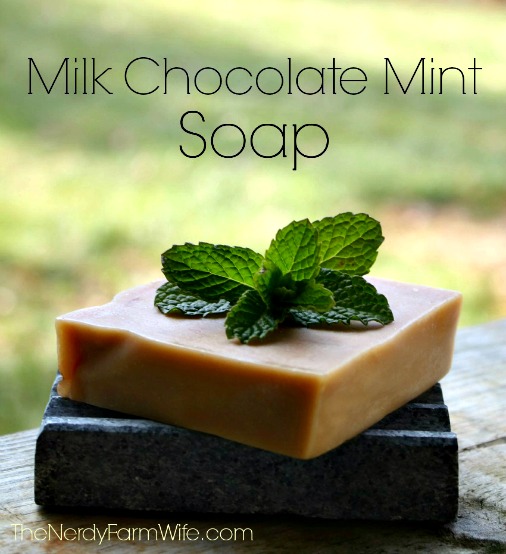 Homemade Milk Chocolate Mint Soap Recipe