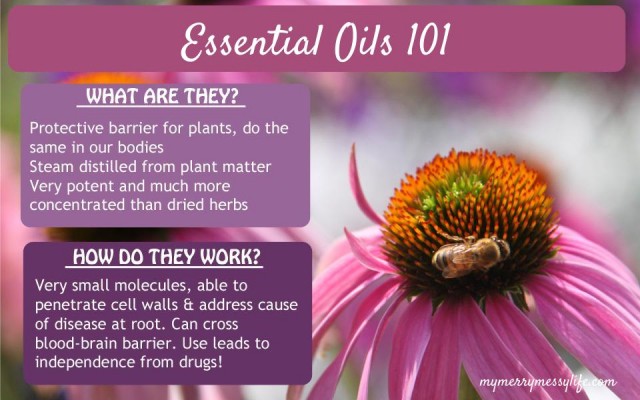 Go Green and Get Clean with Essential Oils