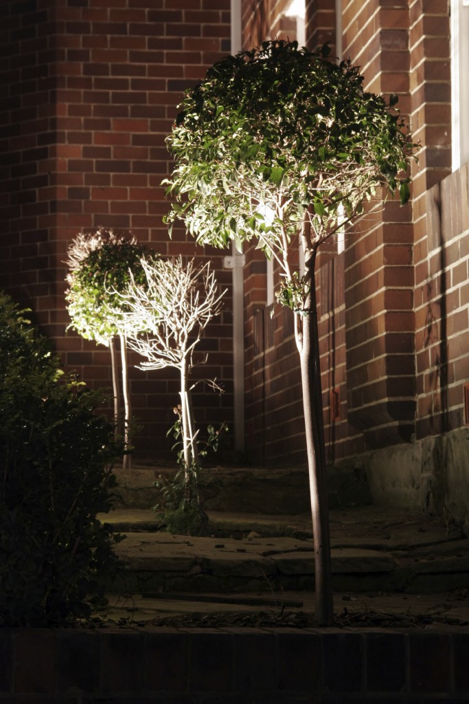 DIY Uplighting – Garden Lighting Solutions For Landscapes