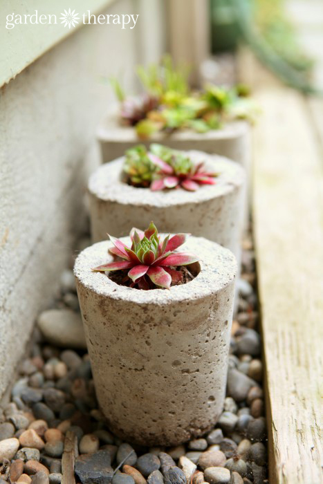 How to Make Concrete Planters, concrete flower planters