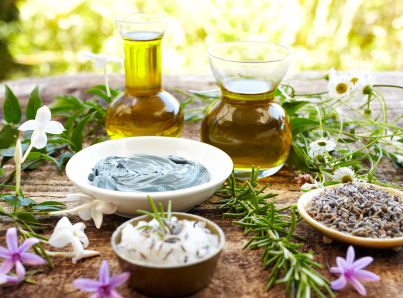 15 Best Herbal Tea Ingredients