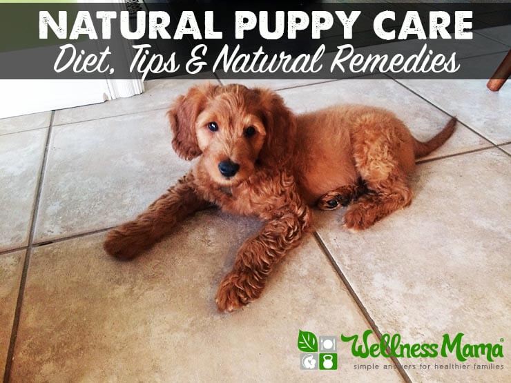 Natural Puppy Care
