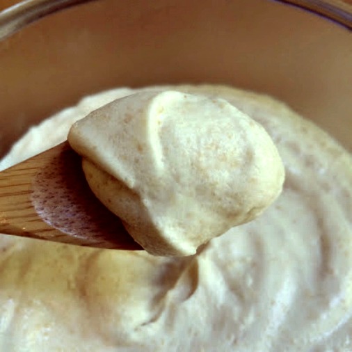Creamy Coconut and Fig Seed Body Scrub Recipe