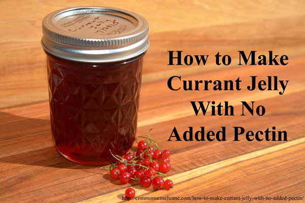 How to Make Curraant Jelly