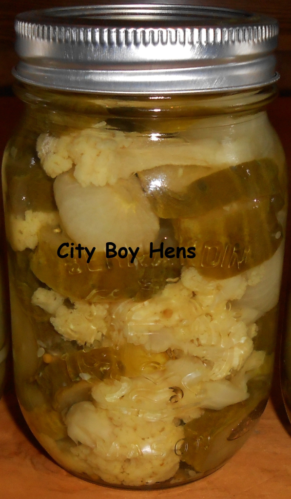 City Boy Hens Pickles
