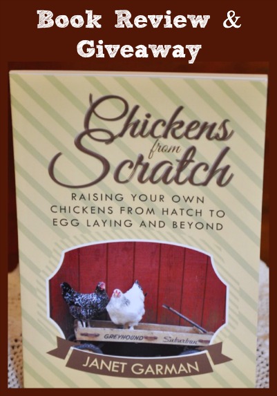 Chickens from Scratch