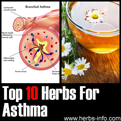 Top 10 Herbs for Asthma