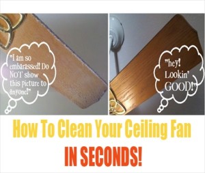 How To Clean Your Ceiling Fan in SECONDS!