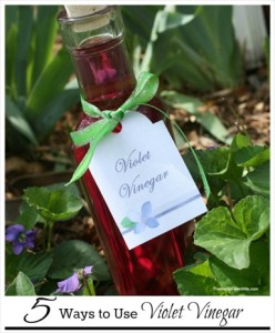 Five Uses for Violet Vinegar