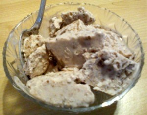Easy Homemade Coconut Milk Ice Cream!
