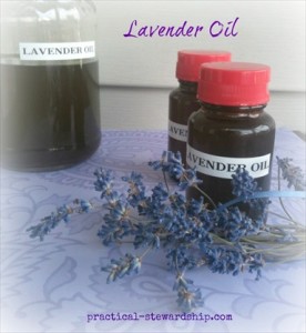 How to Make Lavender Infused Oil