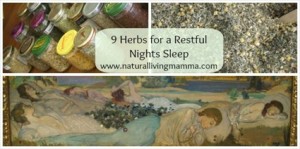 9 Herbs for a Restful Night's Sleep