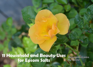 11 Uses for Epsom Salts - Home, Garden AND Natural Beauty!