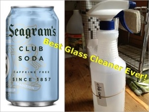 The Simplest & Best Green Glass Cleaner Ever! (Tip)