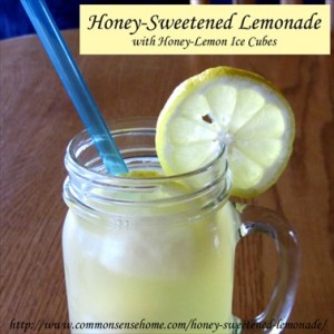 Homemade Honey-Sweetened Lemonade with Honey-Lemon Ice Cubes