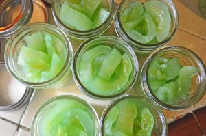Homemade Peppermint Pickles Recipe