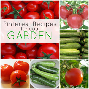 Summer Garden Recipes for Tomatoes and Zucchini