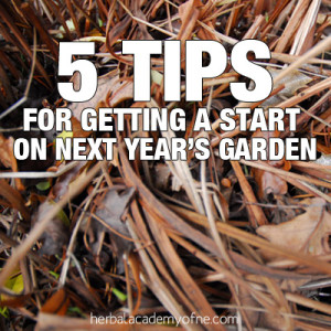 5 Tips for Getting a Start on Next Year’s Garden