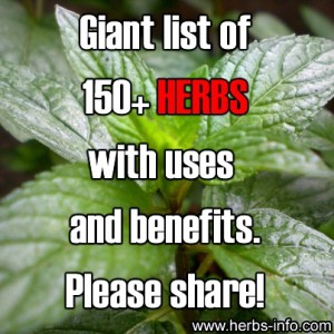 Giant List of 150+ Herbs With Uses and Benefits