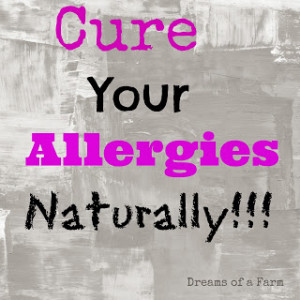 A Recipe for a Natural Allergy Remedy with Essential Oils
