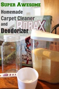 Homemade Carpet Cleaner and Deodorizer Recipe