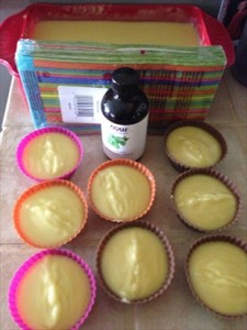 How to Make Pure Castile Soap