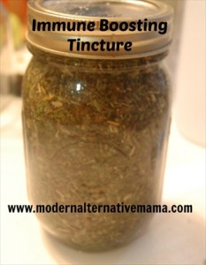 How to Make a Super Immune Booster Herbal Remedy