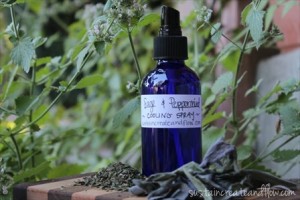 How to Make a Homemade Cooling Spray For Menopause