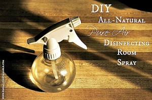 Pure Air: Homemade Antibacterial Disinfecting Room Spray Recipe