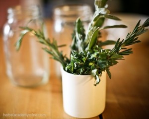Five Kitchen Herbs for Cold Season
