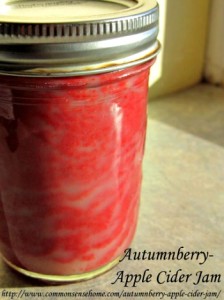 Homemade Autumnberry-Apple Cider Jam Recipe