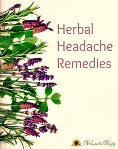 10 Natural Herbal Headache Remedies
