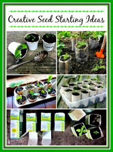 creative seed starting ideas