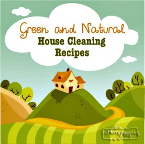Green and Natural House Cleaning Recipes and Buying Guide
