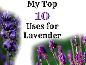 Top 10 Uses for Lavender
