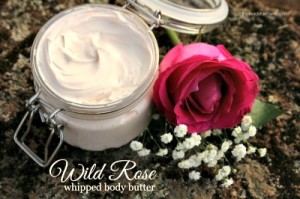 Wild Rose Body Butter