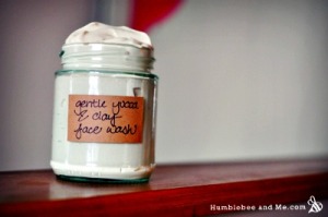 Gentle Yucca & Clay Face Wash Recipe