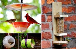 10 Creative DIY Bird Feeders