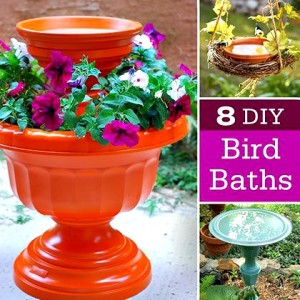 8 Fantastic DIY Bird Baths for your Garden
