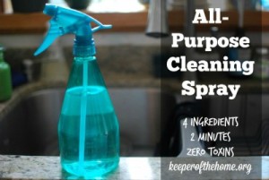 DIY All-Purpose Natural Cleaning Spray